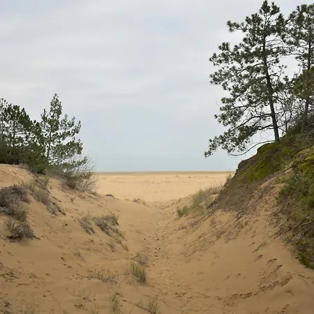 Lovely And Elegant Near The In Lignano Apartment